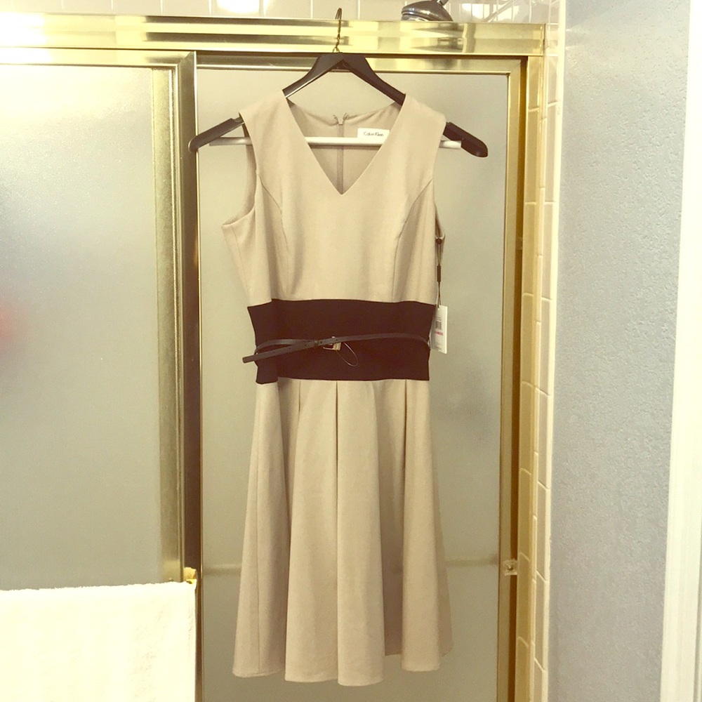 NWT Petite Calvin Klein Dress